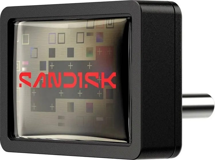 SanDisk Extreme Fit unita flash USB 256 GB USB tipo-C 3.2 Gen 1 (3.1 Gen 1) Nero