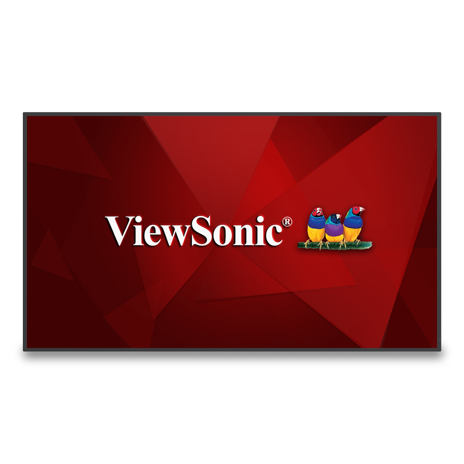 Viewsonic CDE5530, Pannello piatto per segnaletica digitale, 139,7 …