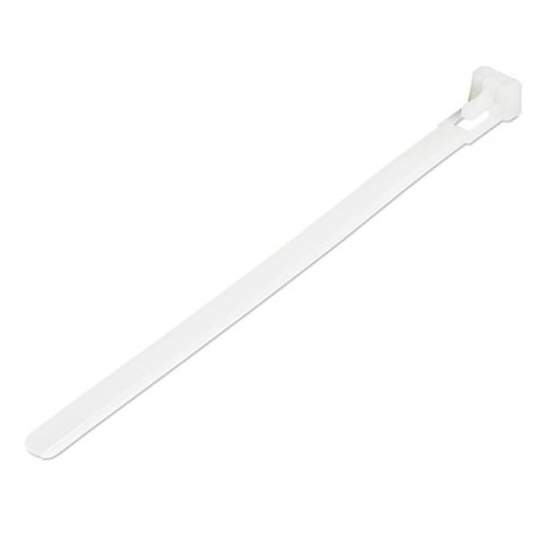 StarTech.com Fascette fermacavo riutilizzabili da 15 cm - …