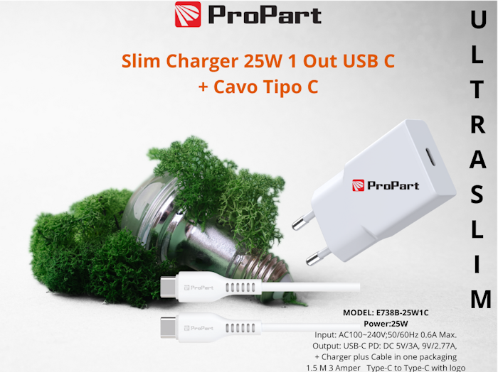 SLIM CARICA BATTERIE + CAVO TIPO C 25W 1 OUT USB C