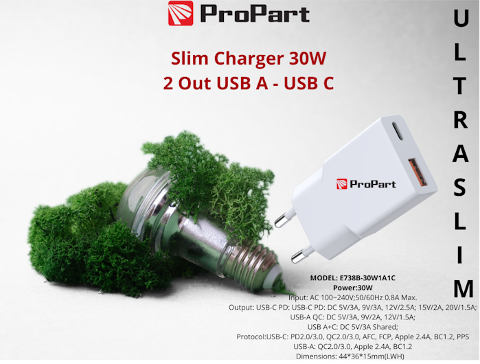SLIM CARICA BATTERIE 30W 2 OUT USB A - USB C