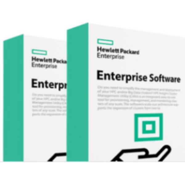 HPE Aruba Virtual Mobility Controller (RW) - Licenza - 8000 utenti, 250 punti d'accesso - ESD
