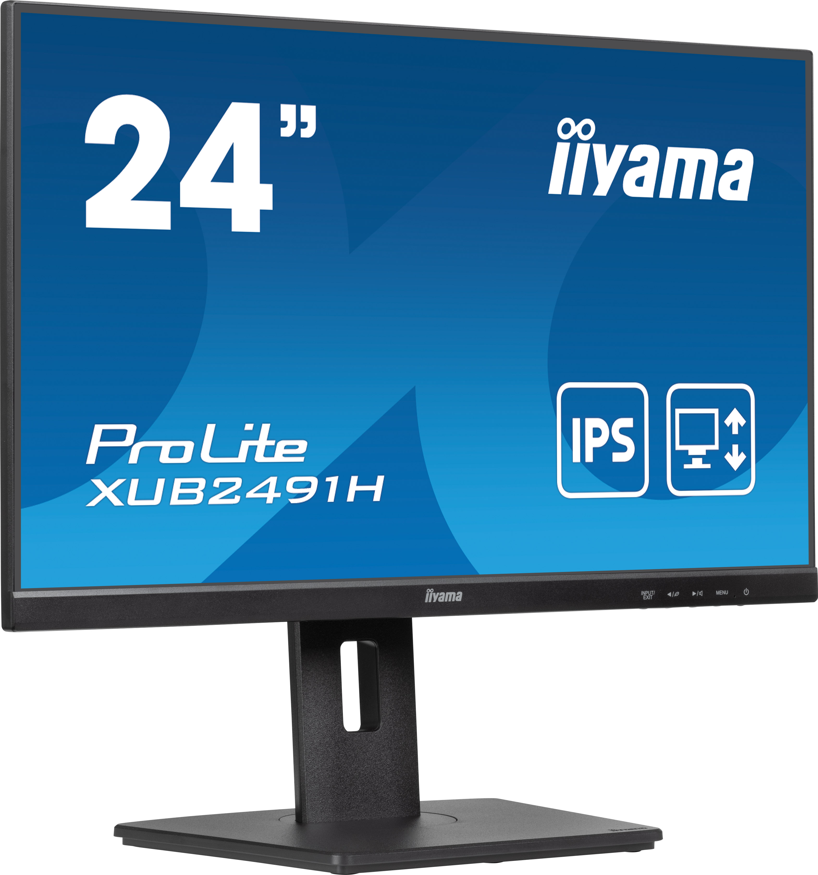 iiyama ProLite XUB2491H-B1 - Monitor a LED - …