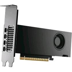 NVIDIA RTX 2000 Ada Generation - Scheda grafica - NVIDIA RTX 2000 Ada - 16 GB GDDR6 - PCIe 4.0 x16 - 4 x Mini DisplayPort - retail