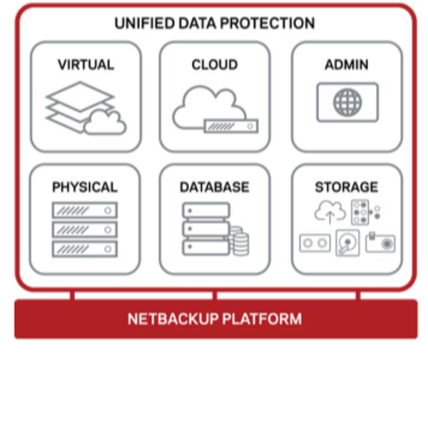 VERITAS NetBackup Enterprise Server - Licenza On-Premise - …