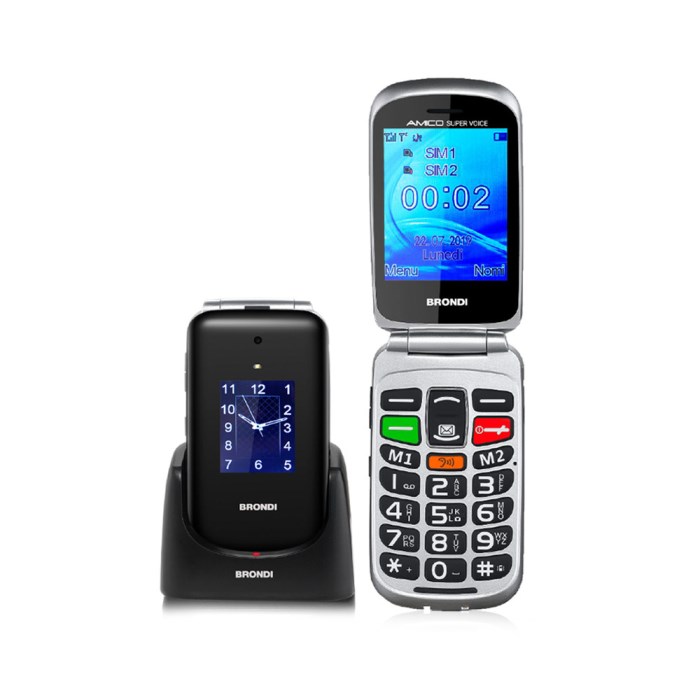 Brondi Amico Supervoice Nero/Silver DS ITA
