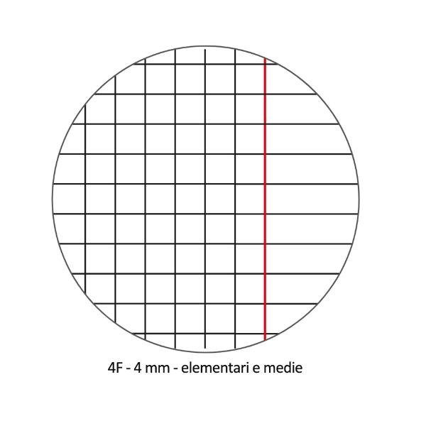 Quaderno Pigna A4 20 fogli copertina cartone plastificato …