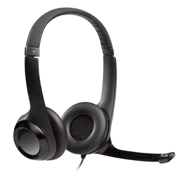 CUFFIE MICROFONO H390 USB (981-000406)
