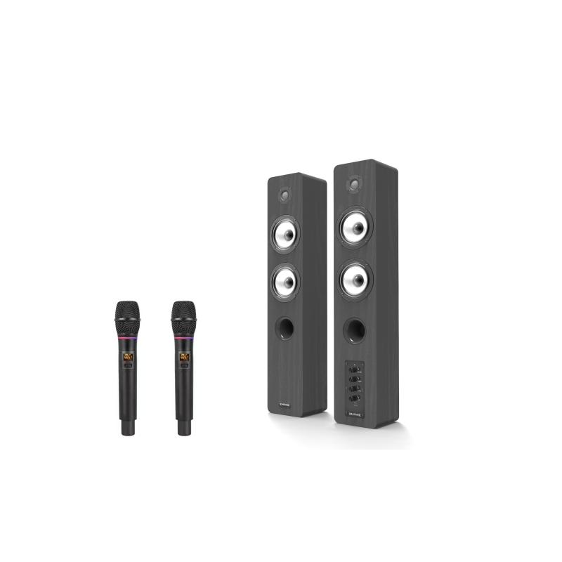 SISTEMA 2.0 CON RADIOMICROFONO PRO EDGE 2 MIC