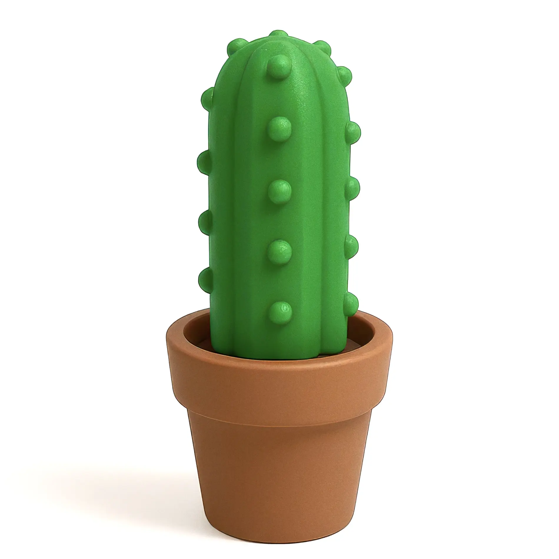 Cute Catus Home Decor - Buckle Cactus