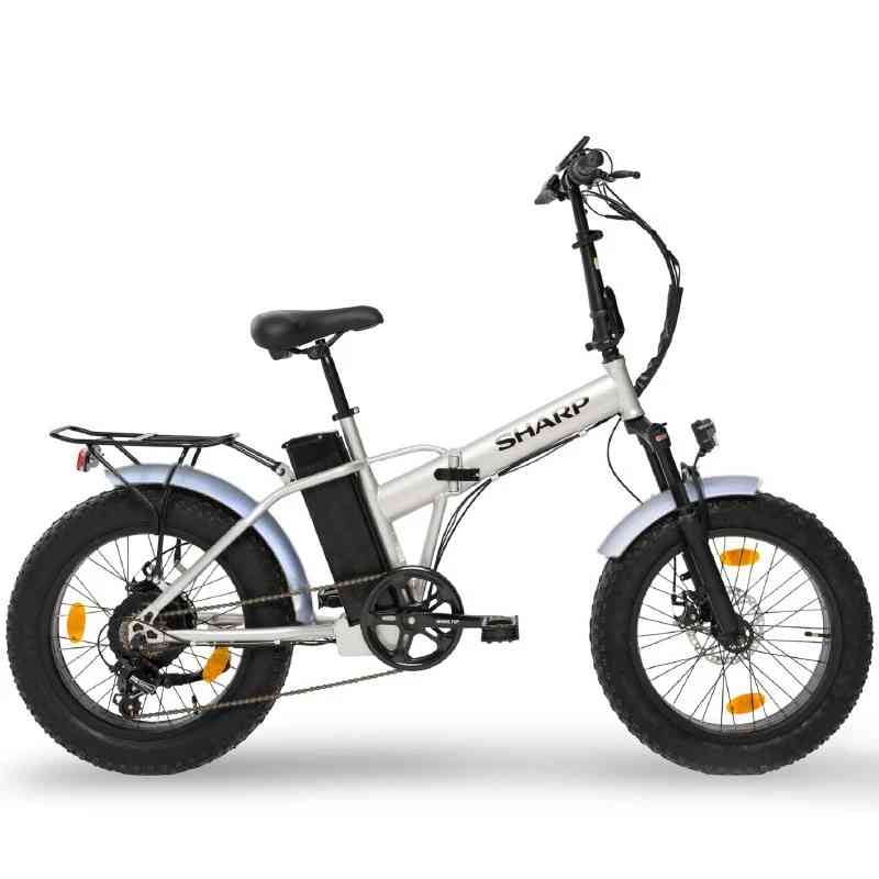 BICI ELETTRICA CON PEDALATA ASSISTITA BK-FM01-ES - RUOTE …