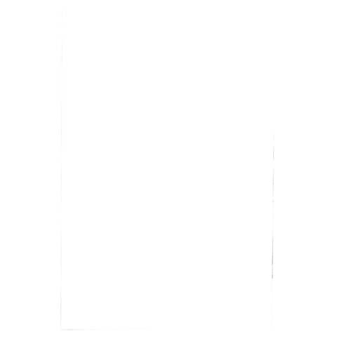 Pouches per plastificatrici Fellowes Standard Capture125 finitura lucida - 2x125 µm - A2 - Conf. 50 pz - 5309302