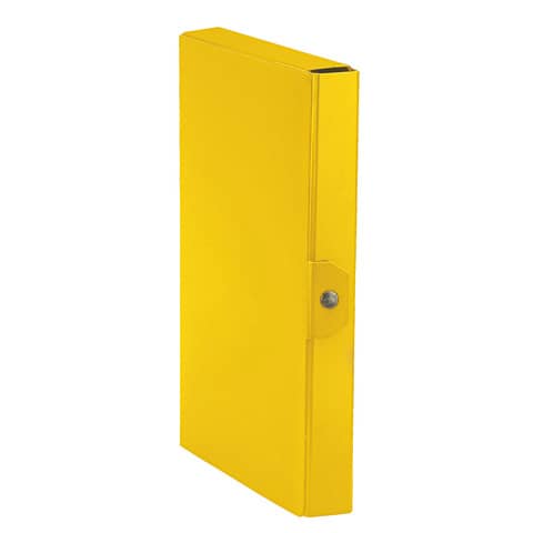 Cartella portaprogetti Esselte C84 DELSO ORDER dorso 4 …