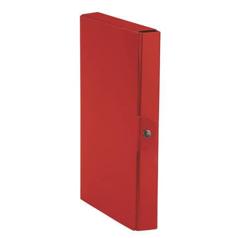 Cartella portaprogetti Esselte C84 DELSO ORDER dorso 4 …