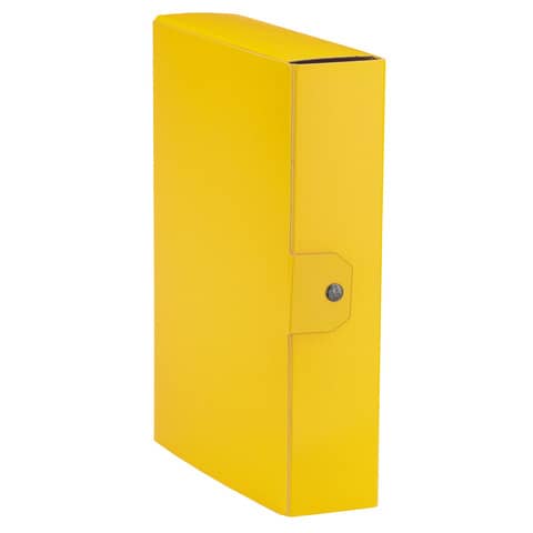 Cartella portaprogetti Esselte C88 DELSO ORDER dorso 8 …