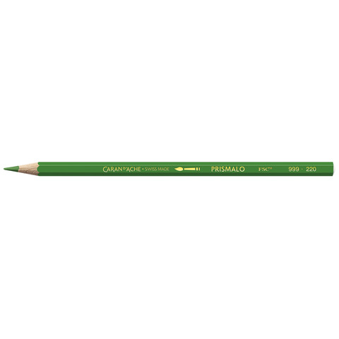 Matite colorate acquerellabili Carand'Ache Prismalo in conf. da 12 pz verde prato - 999220