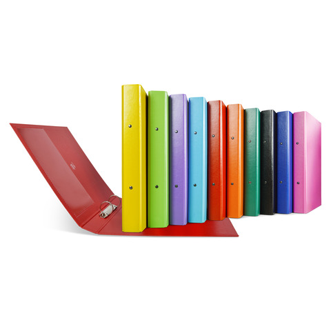 Raccoglitore Sei Rota Nettuno - 2 anelli a R 30 mm - A4 - dorso 3,5 cm - conf. 10 pz colori assortiti - 36773199