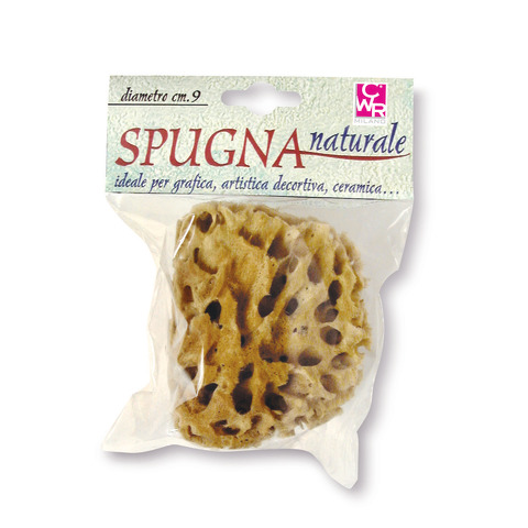 Spugna naturale per attività artistiche DOM - diametro 9 cm - 06029