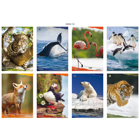 Maxi quaderno Blasetti Animali A4 - 100 g/m² - 18+1 ff - 4F - conf. 10 pezzi - 8206