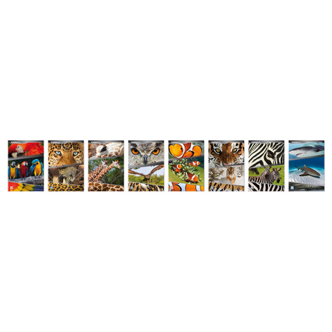 Maxi quaderno Blasetti Animali A4 - 100 g/m² …