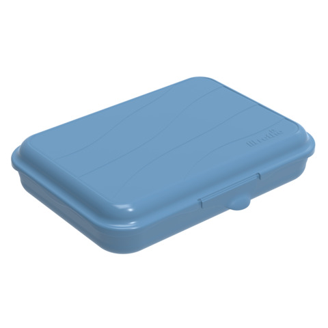Lunch box Rotho Fun 750 ml in PP senza BPA blu F711102