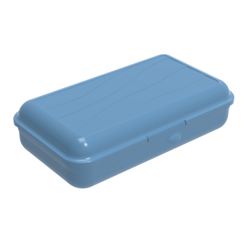Lunch box Rotho Fun L 1,7 L con divisorio interno in plastica PP senza BPA blu - F711123