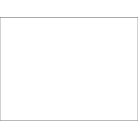 Tovaglietta Ristocart in carta bianca liscia 55 g conf. 250 pz 30x40cm EYTVT1157