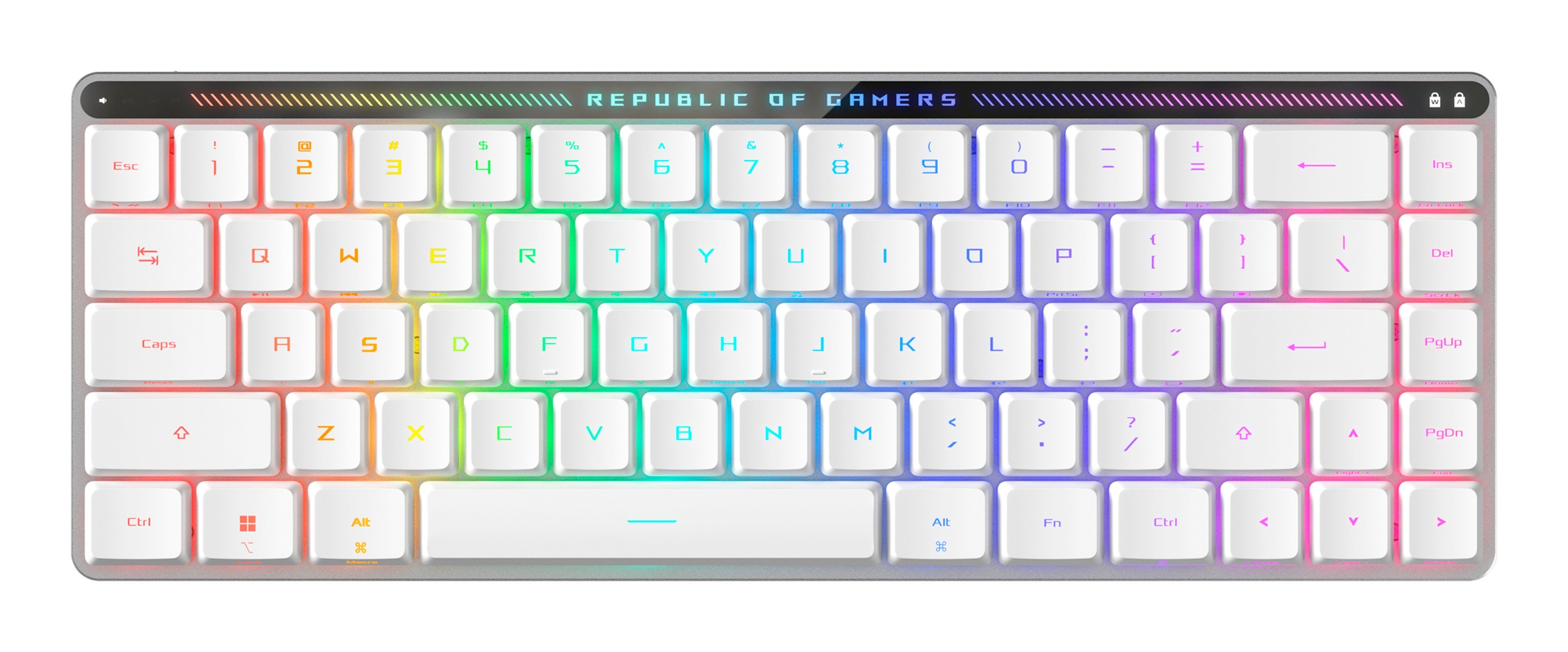 ASUS ROG Falchion RX Low Profile tastiera Gaming …