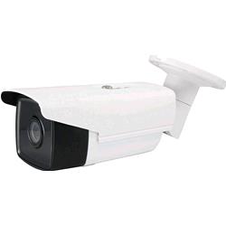 LevelOne FCS-5092 telecamera di sorveglianza Telecamera di sicurezza …