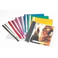 DURABLE Sichthefter A4+ 50 ST 257001