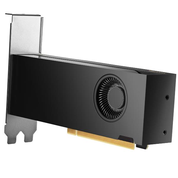 HP NVIDIA RTX PH x2xxx 4mDP Graphics, 308 …