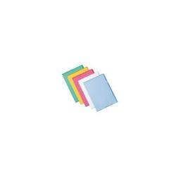 Esselte CF25BUSTE L DELUXE ANTIRIF 22X30, A4, Polipropilene …