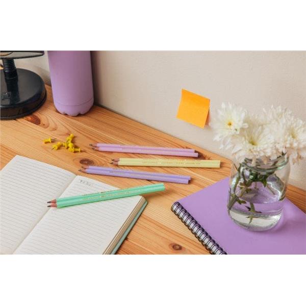 Matita Evolution Pastel - gradazione HB - colori …