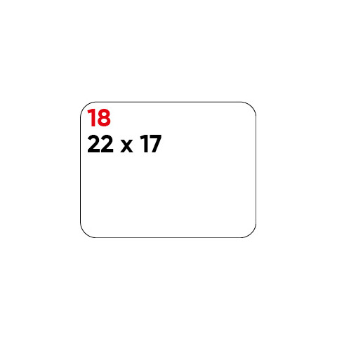 CONF. 10 BUSTE ETIC.MARKIN 18 22X17