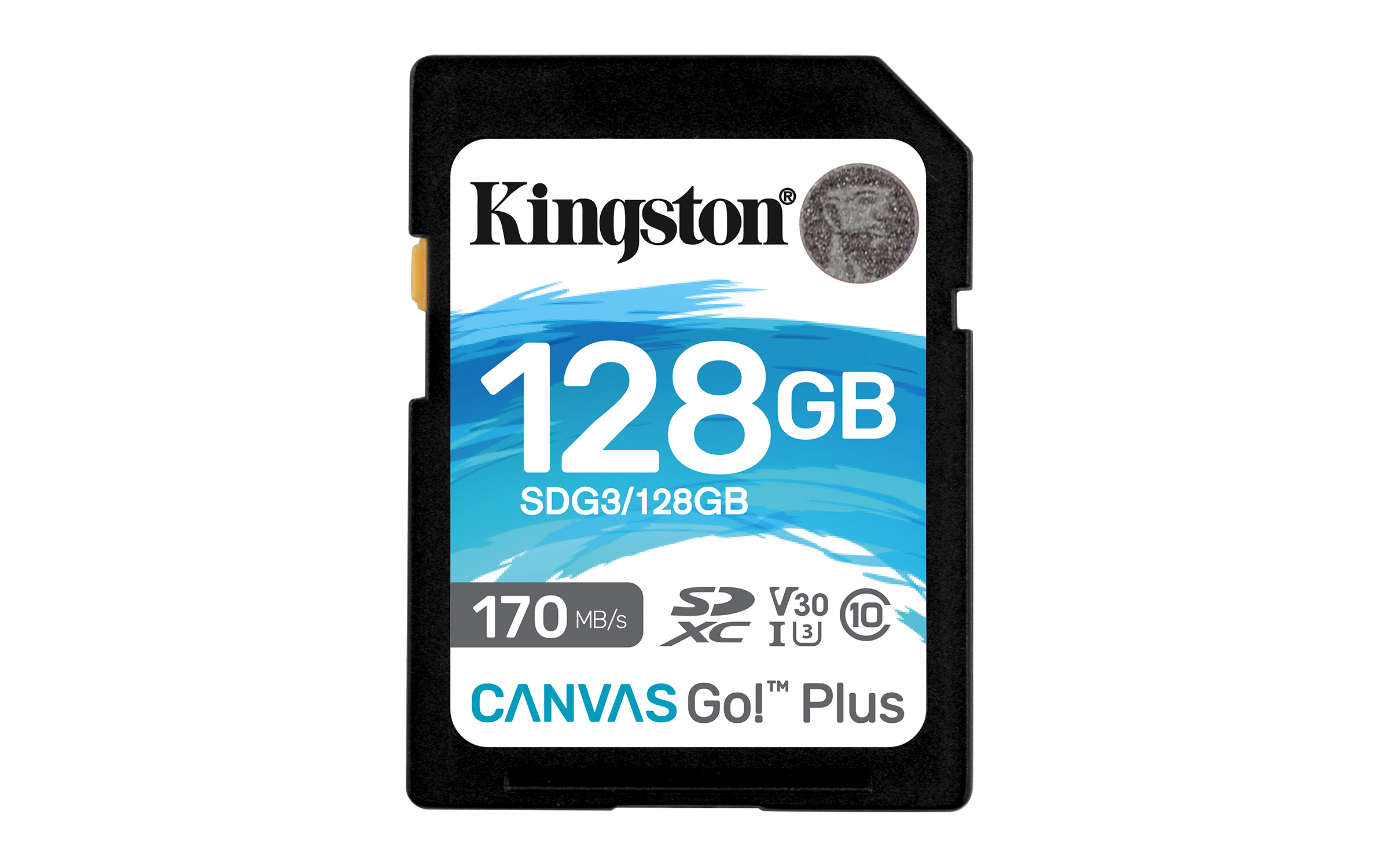 Kingston Canvas Go! Plus - Scheda di memoria …
