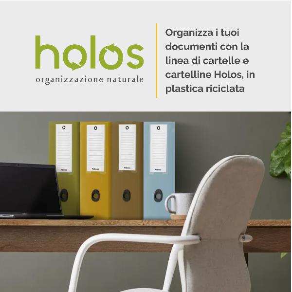 Scatola progetto Plus HOLOS - 25 x 35 cm - dorso 10 cm -marrone - Fellowes