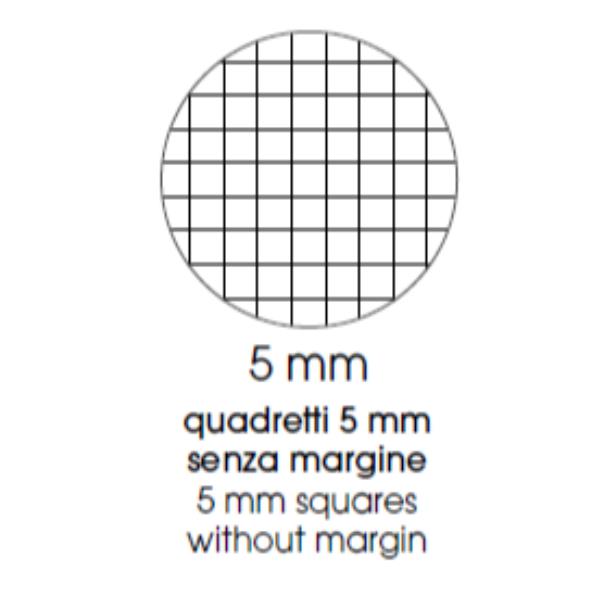 Maxiquaderno Animal fantasia - A4 - 5mm - 40+2 fogli - 80gr - BM