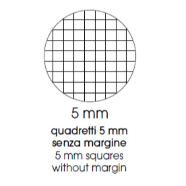 BE MORE FLOR MAXI QUADERNO PUNTO METALLICO 100GR 210X297 mm A4 48 FOGLI A QUADRETTI 5M FANTASIE ASSORTITE CONF 10 Pz.