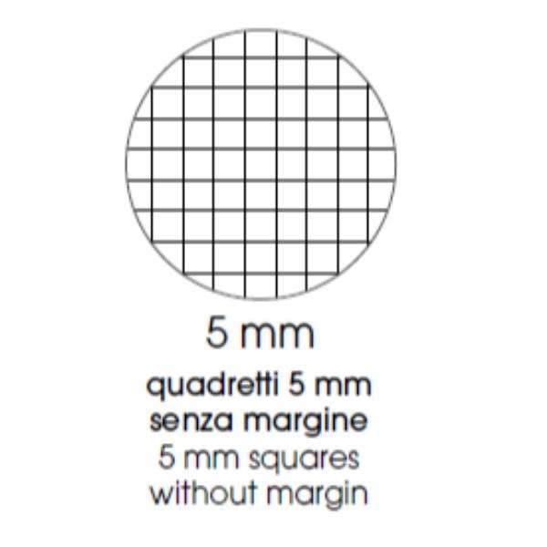 BE MORE MAXI SPIRALATO FLUO QUADERNO 80GR 210X297 mm A4 60 FOGLI A QUADRETTI 5M FANTASIE ASSORTITE CONF 5 Pz.