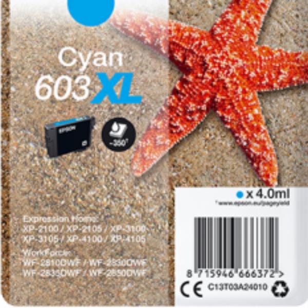 Epson - Cartuccia ink - 603XL - ciano …