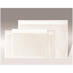 WILLCHIP WEPACK BUSTE AUTOADESIVE PORTADOCUMENTI PER SPEDIZIONI CORRIERI IN POLIETILENE FORMATO INTERNO 22X16.5 CM TRASPARENTE CONF 1000 Pz.