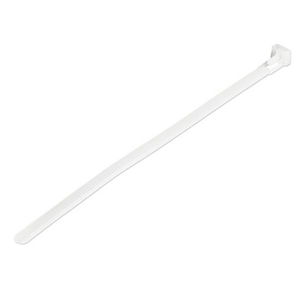 StarTech.com Fascette fermacavo riutilizzabili da 20 cm - Fascette di nylon per interni/esterni, 100 pezzi - bianco (CBMZTRB8) - Fascetta ferma-cavo - 20 cm - bianco - Compatibile TAA (pacchetto di 100)