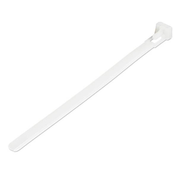 StarTech.com Fascette fermacavo riutilizzabili da 15 cm - Fascette di nylon per interni/esterni, 100 pezzi - bianco (CBMZTRB60) - Fascetta ferma-cavo - 15 cm - bianco - Compatibile TAA (pacchetto di 100)
