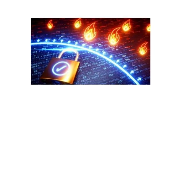 REEVO VIRT FRW-1ISTANZA DEDICATA-50MB