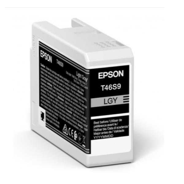 Epson - Cartuccia UltraChrome Pro 10 - Grigio …