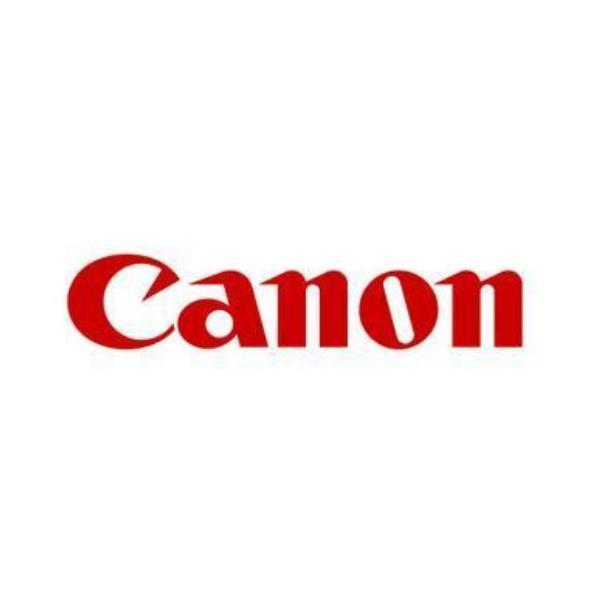 Canon PFI-1700 PGY - 700 ml - Grigio …