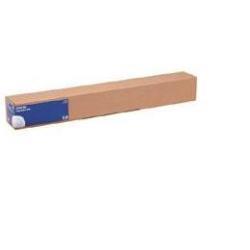 Epson - Lucido - Rotolo (43,2 cm x …