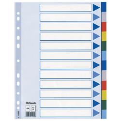 Esselte - Divisorio - 12 parti - per …