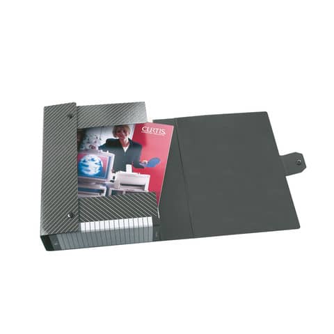 Esselte Delso Line - Cartella a scatola - larghezza dorsale 60 mm - per 250 x 350 mm - orizzontale - grigio