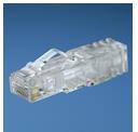 Panduit TX6 PLUS - Connettore di rete - RJ-45 (M) - CAT 6 - bloccato (pacchetto di 100)